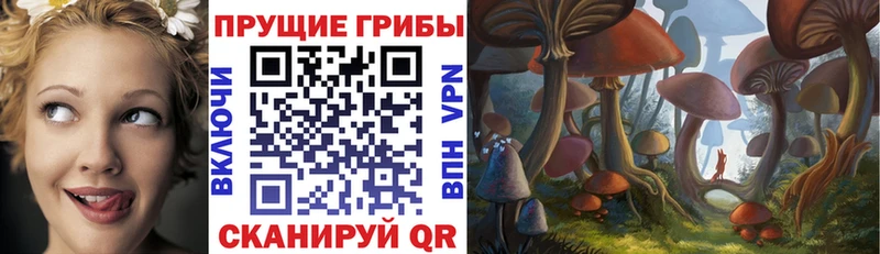 Галлюциногенные грибы мухоморы  hydra ссылка  Переславль-Залесский 